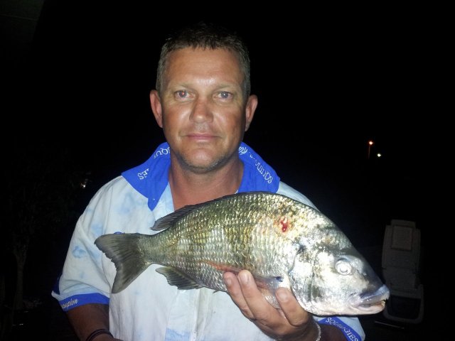 P/B Black Bream on soft plastics P/B Black Bream on soft plastics